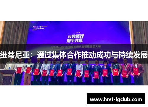 维蒂尼亚：通过集体合作推动成功与持续发展