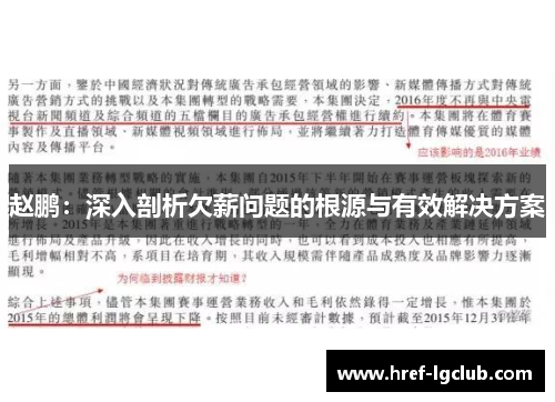 赵鹏：深入剖析欠薪问题的根源与有效解决方案