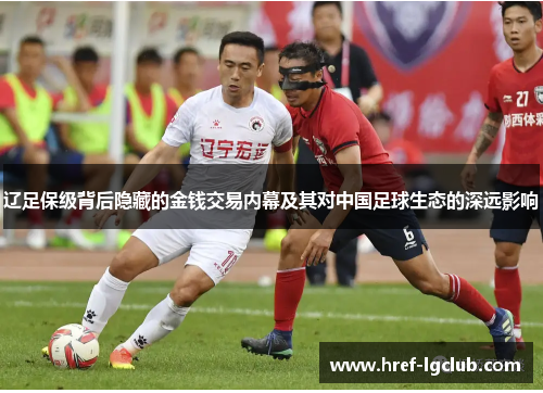 辽足保级背后隐藏的金钱交易内幕及其对中国足球生态的深远影响